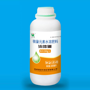 流体硼